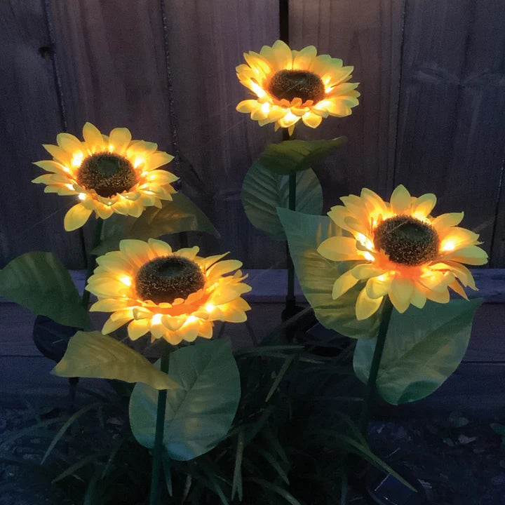 Illuminating Solar Sunflowers 6-PACK