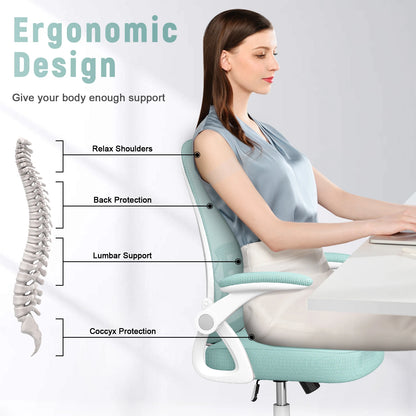 Ergonomic Task Chair