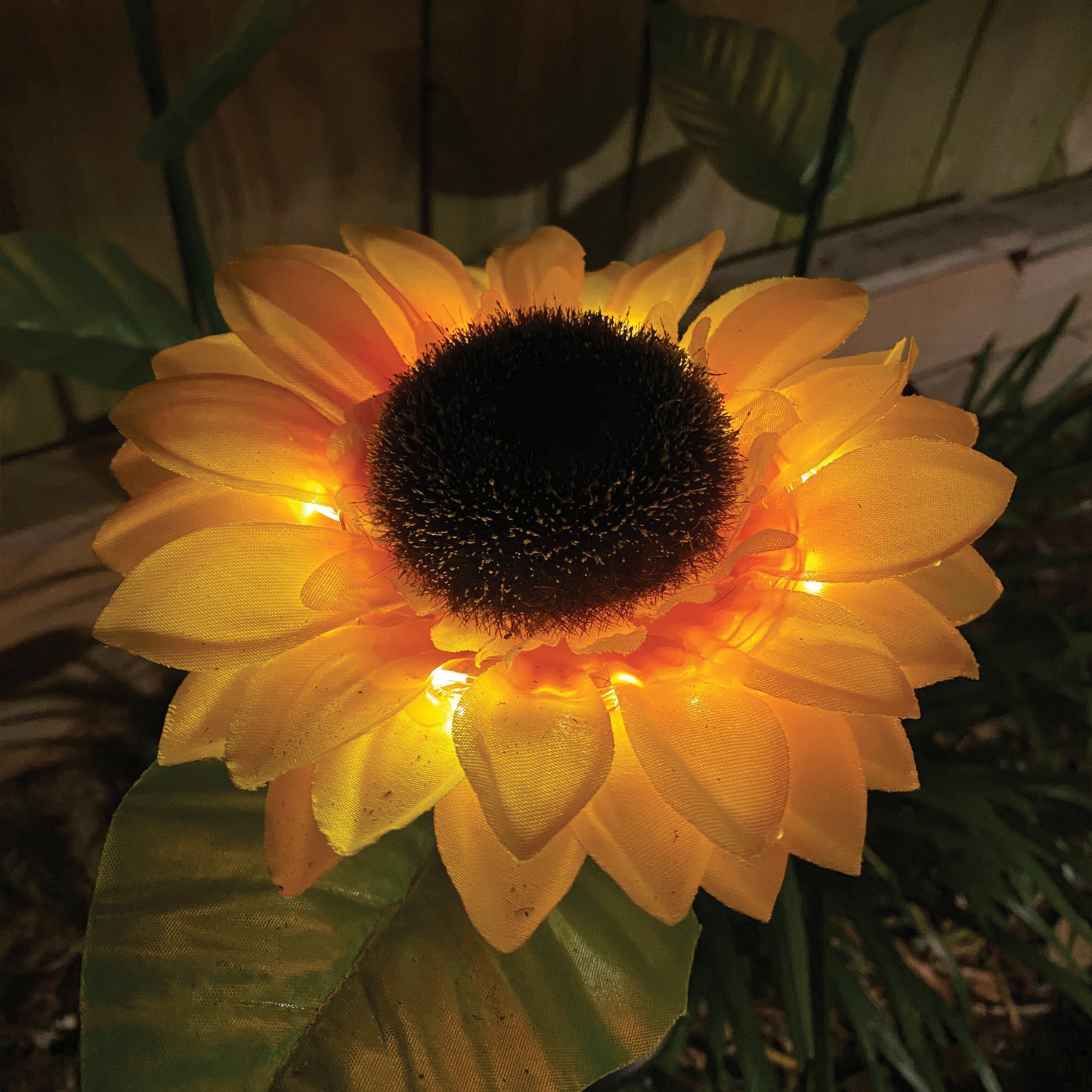 Illuminating Solar Sunflowers 6-PACK